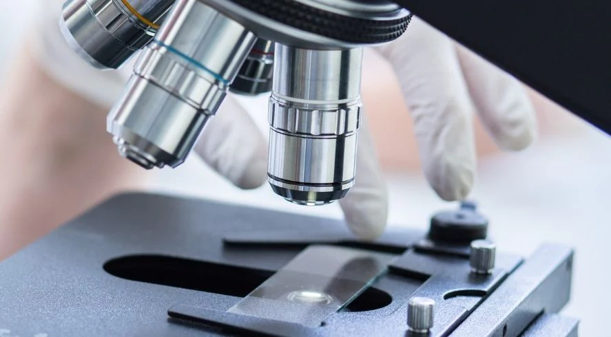 Quais são as funções das lentes objetivas do microscópio?
