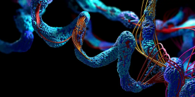 Técnica de microscopia revela nanoestruturas ocultas em células e tecidos