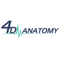 4D Anatomy